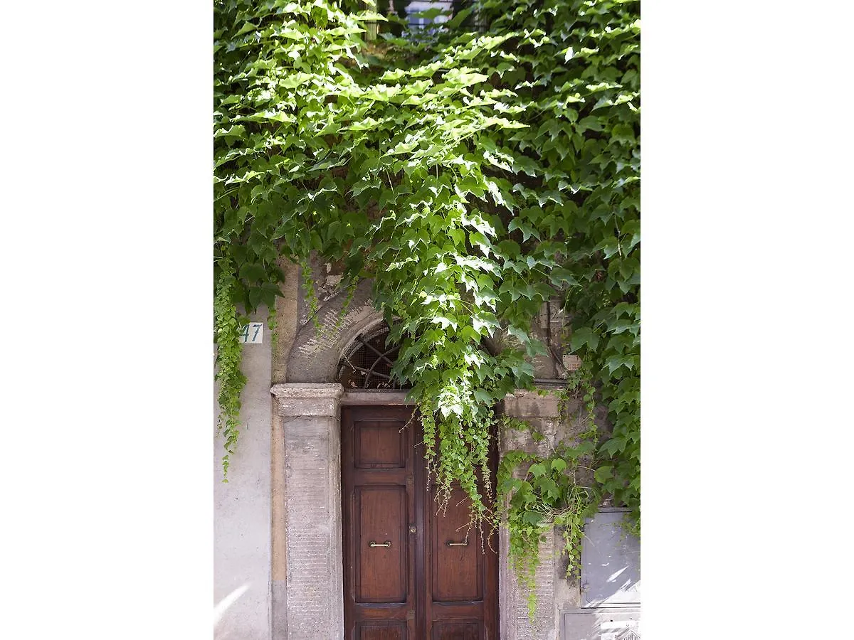 Ivy Hotel Rome